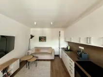Pronájem bytu 3+kk, Bílovec, Sklenářská, 53 m2