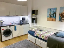 Pronájem bytu 1+kk, Praha - Vinohrady, Polská, 21 m2
