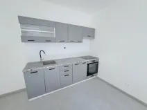 Pronájem bytu 1+1, Plzeň, Mánesova, 45 m2