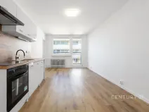 Pronájem bytu 2+1, Most, Brněnská, 35 m2