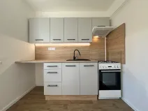 Pronájem bytu 1+1, Třinec, Pod břehem, 29 m2