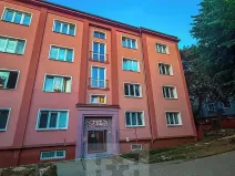 Pronájem bytu 2+1, Ostrov, S. K. Neumanna, 56 m2