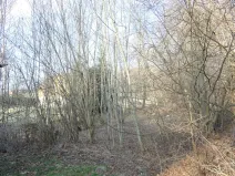 Prodej pozemku, Hamr na Jezeře, 471 m2