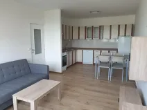 Pronájem bytu 2+kk, Brno, Svážná, 47 m2