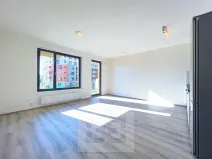 Pronájem bytu 1+kk, Praha - Čimice, Hrašeho, 46 m2