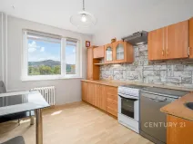 Pronájem bytu 3+1, Děčín, Dvořákova, 75 m2