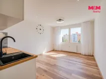 Prodej bytu 1+kk, Horní Bříza, U Vrbky, 22 m2