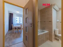 Pronájem bytu 1+kk, Loket, Sportovní, 40 m2