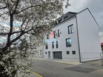 Pronájem bytu 1+kk, Olomouc, Rejskova, 32 m2