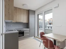 Pronájem bytu 1+kk, Praha - Řeporyje, Haenkeho, 31 m2
