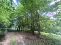 Prodej louky, Olbramice, 1547 m2