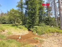 Prodej rybníku, Dolní Hořice - Pořín, 8552 m2