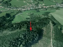 Prodej lesa, Lhota u Vsetína, 1205 m2