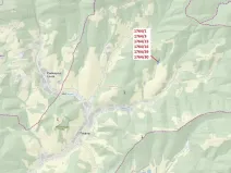 Dražba lesa, Trnava, 10498 m2