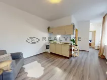 Prodej bytu 2+kk, České Budějovice, Resslova, 30 m2