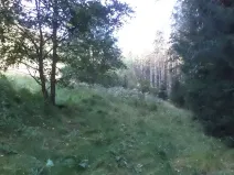 Prodej pole, Roztoky u Semil, 496 m2