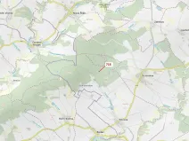 Dražba lesa, Knínice, 2059 m2
