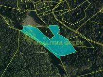 Prodej lesa, Hovězí, 9912 m2