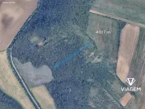 Prodej lesa, Silůvky, 4817 m2