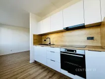 Pronájem bytu 3+1, Most, Javorová, 68 m2