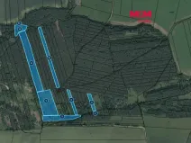 Prodej lesa, Slabčice - Písecká Smoleč, 48910 m2