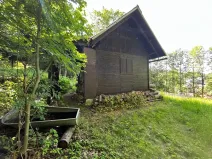 Dražba chaty, Těchonín, 17 m2