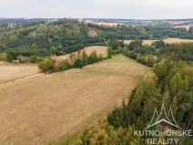 Prodej komerčního pozemku, Pertoltice, 51001 m2