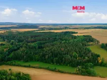 Prodej lesa, Břežany, 4230 m2