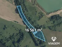 Prodej podílu lesa, Kostelec nad Labem, 2389 m2