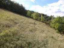 Prodej pole, Řehlovice - Stadice, 806 m2