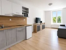 Pronájem bytu 1+kk, Syrovice, 28 m2