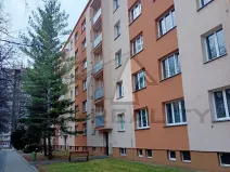 Pronájem bytu 2+1, Kolín, Družstevní, 62 m2