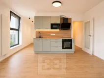 Pronájem bytu 1+kk, Brno, Pod Kavkami, 40 m2