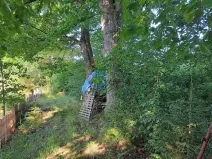Prodej lesa, Nová Cerekev, 2440 m2