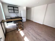 Pronájem bytu 2+kk, Brno - Štýřice, Sovinec, 42 m2