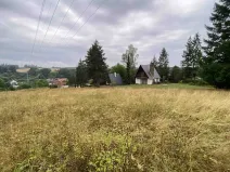 Dražba louky, Brumovice, 1160 m2