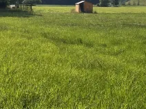 Prodej pozemku, Dobrá, 800 m2