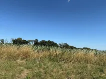 Prodej pole, Chocnějovice, 11991 m2