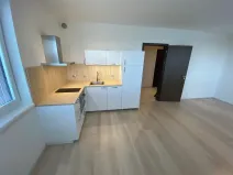 Pronájem bytu 1+kk, Praha - Hlubočepy, Hugo Haase, 40 m2
