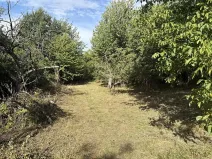 Prodej zahrady, Říčany, Do Lehovic, 2317 m2