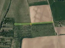 Prodej sadu/vinice, Kostelec, 3982 m2