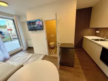 Prodej bytu 1+kk, Beroun, Nepilova, 22 m2