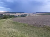 Dražba pole, Morkůvky, 4541 m2