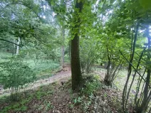 Prodej pozemku, Třebívlice - Skalice, 576 m2