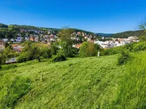 Prodej pozemku pro bydlení, Luhačovice, Masarykova, 1834 m2