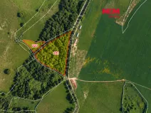 Prodej pozemku, Stará Voda - Vysoká, 17561 m2