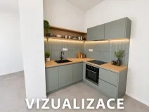 Pronájem bytu 1+kk, Brno, Cejl, 30 m2