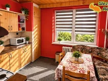 Prodej bytu 2+1, Ostrava, Horní, 55 m2