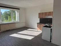 Prodej bytu 1+kk, Zruč nad Sázavou, Mládeže, 33 m2