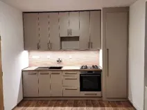 Pronájem bytu 1+1, Nový Jičín, Riegrova, 49 m2